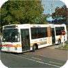 Hamilton City Bus